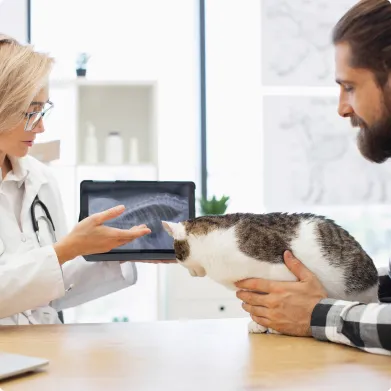 radiologie veterinaire à Arnage près du Mans dans la Sarthe 72