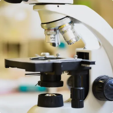 laboratoire veterinaire à Arnage près du Mans dans la Sarthe 72