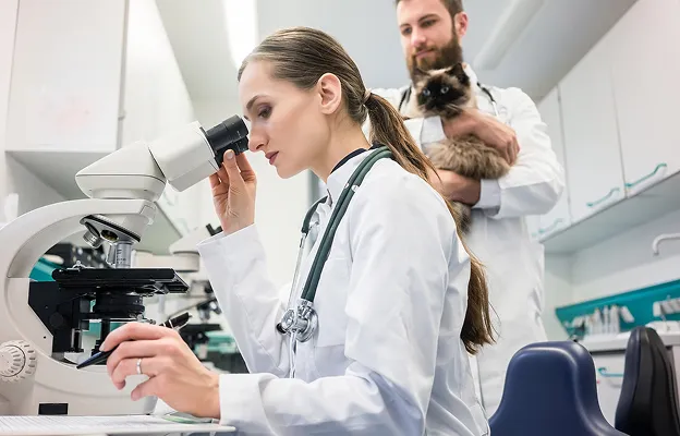 laboratoire veterinaire à Arnage près du Mans dans la Sarthe 72