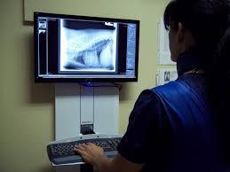 Nouveauté 2019 n° 2 Radiologie