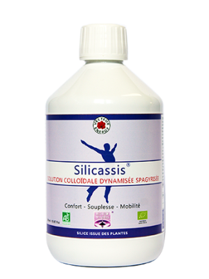 Silicassis – Solution colloïdale dynamisée